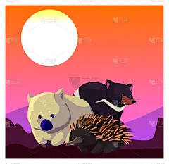 可爱的,贺卡,动物,澳大利亚,国内著名景点,濒危物种,野生动物,模板,哺乳纲,生物
