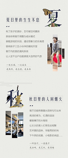 长白山见01采集到排版