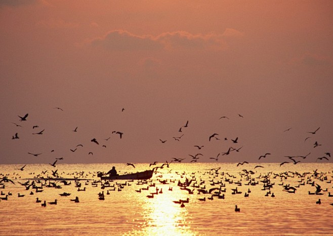 海边夕阳剪影图片