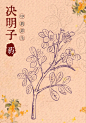 打卡｜中药材手绘4/6（附过程） - 小红书