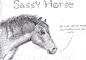 Sassy Animals : "Sassy Animals" is a series (ongoing) made up entirely of animals saying rude, or "sassy," things. The individual pieces stem from the exact words which I have to swallow back down in most cases. "Sassy Animals&