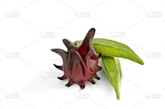 秋葵,玫瑰茄,让路标志,农业,自然,有机食品,蔬菜,清新,健康食物,饮食