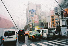 叶凉笙采集到我的雨天