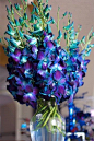 DENDROBIUM ORCHIDS loveeeeeeee this. if i ever get married these will probably be my colors