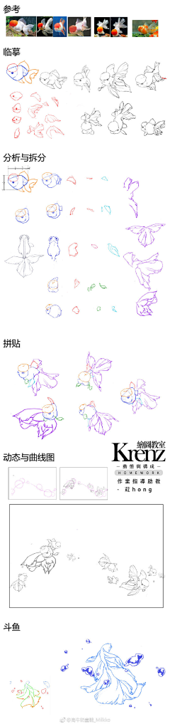 云猫0采集到思路步骤
