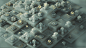 Motion Design Monday - Rise