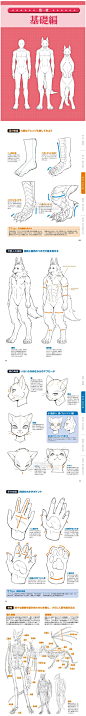 286 动漫美术素材 獣人の描き方 拟人卡通动物形体造型绘画兽人CG-淘宝网