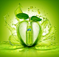 FANTA GREEN APPLE : Fanta Green Apple, coming from the heart core of the real green apple.FP7 Cairo - Marwan Younes, Amr Younes, Khalil El Shorbagy