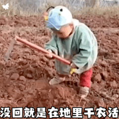 逾lllll采集到表情包