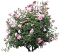 20170426201353_44950