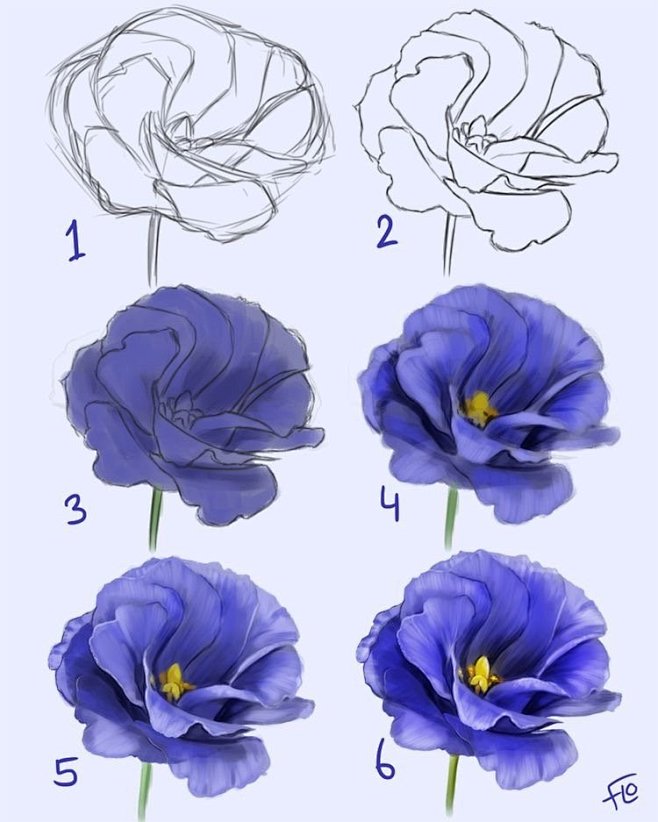 植物教程/植物画法/植物 花的画法 花瓣关注原画人，推荐更多精选素材，绘画更有灵感