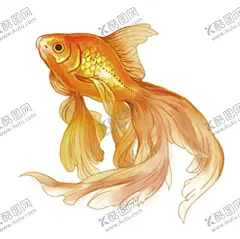 锦鲤 【酷图网】锦鲤,卡通鱼,手绘鱼,年年有余,年年有鱼,鼠年,鼠年插画,鼠年海报,海报鱼,鲤鱼,鲤鱼插画,手绘鲤鱼,卡通鲤鱼,年年有余图,年年有余挂画,鱼,年年有余画,年年有余背景,富贵有余,荷花鲤鱼,客厅挂画,国画荷花,荷花鱼竖版,年年有余玄关,九鱼图,荷花图,连年有余,鱼戏莲花图,鱼鱼得水,花开富贵,鱼图