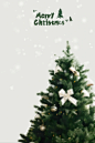 (108)圣诞节圣诞树素材儿童写真背景psd模板