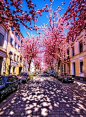 [Cherry Brick Road] 德国波恩小镇的Cherry Brick Road，享受行走在时间最美的旅程……