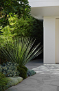 Landscape Design Coogee | Secret Gardens of Sydney