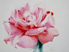 泰国著名大师笔下的水彩玫瑰