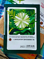 人类命运共同体国际漫画插画大展_1_刘强国际漫画艺术_来自小红书网页版
