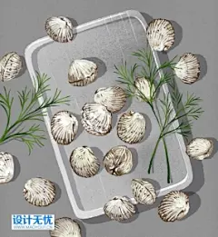 餐饮美食水产带鱼虾子生蚝章鱼螃蟹海鲜海报手绘插画PSD设计素材