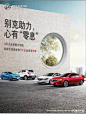 图片13