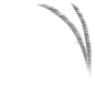 FX_daoguang_49