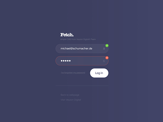 Fetch Dribbble