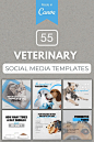 55 Stunning Canva Templates for Veterinarians on Social Media