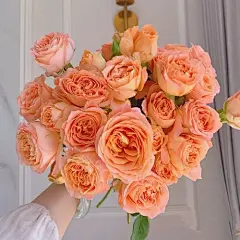 高清壁纸的搜索结果_百度图片搜索