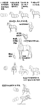 《马的画法》，你知道吗？其实用圈圈就可以画出各种视角的马！