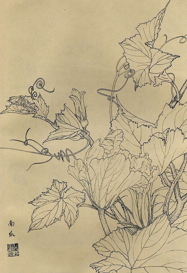 白描花鸟图南瓜