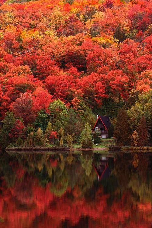 Autumn Lake, Quebec,...