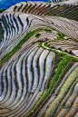Longji Rice Terrace, China