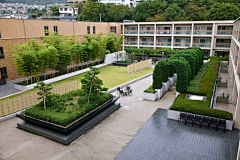 木魅儿采集到医院
