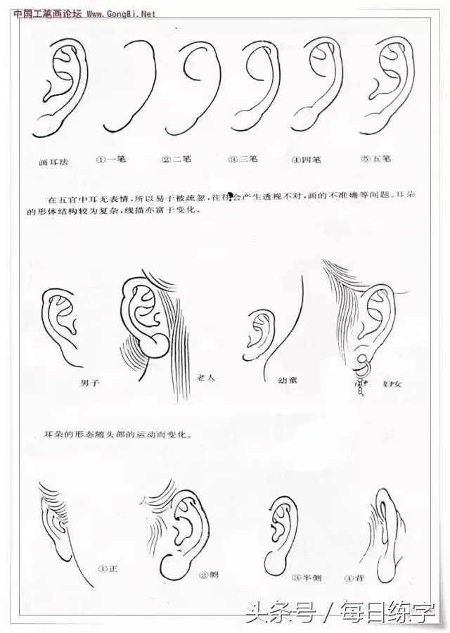 工笔人物白描技法教程_【今日爆点】