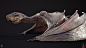 Dragon... Old concept (personal project), Marcus Whinney : Hi guys .... so i finally have gotten around to finishing off a personal project i started 2 years ago. 

I wanted to create a full body dragon, after being inspired by The Hobbits Dragon Smaug. S