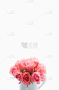 白色,粉色,花瓶,玫瑰,垂直画幅,无人,白色背景,背景分离,布置,摄影