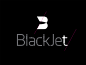 私人及商务飞行航空公司BlackJet形象设计