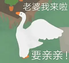 大鹅表情包合集 ​​​​