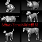 3dmax/Maya/Zbrush动物模型/马猫狗兔犀牛猪3D高模模型合集