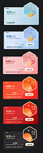 金融财富徽章VIP卡