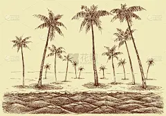 全景,海洋,海滩,棕榈树,看风景,椰子岛,海岸线,波浪,夏天,绘制