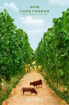 组有味道的清新沙拉海报，把食物变成了微缩艺术品，这脑洞哪个吃货忍得住 ​