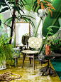 Tropical  Jungle style, home South Africa magazine: 