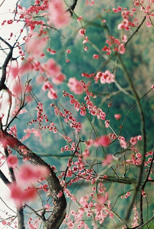         許：　TRAVEL NI...