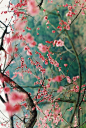         許：　TRAVEL NINE）9