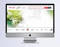 绿色温馨背景|菊花,卡片,绿色,名片卡片,生日贺卡,Happy,birthday,生日,贺卡,温馨..,名片,卡通BANNER,卡通,包装,动物,创意,其他bannner,其他,中国风,LOGO,banner,背景
