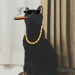长脖子黑猫动态表情包 [dei dei dei 你说的都dei]
