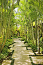Exotic Garden by Werner Design Associates and Mark de Reus in Kona, Hawaii