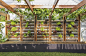 Aquas Perma Solar Firma，CplusC建筑工作室，绿色装修，碳阳性房屋，垂直花园，太阳能，雨水收集，庭院，鱼菜共生，菜园，城市农业，绿色建筑，悉尼 