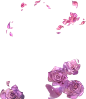 フォルダ  5