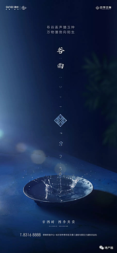 小橘子微酸采集到节日节气